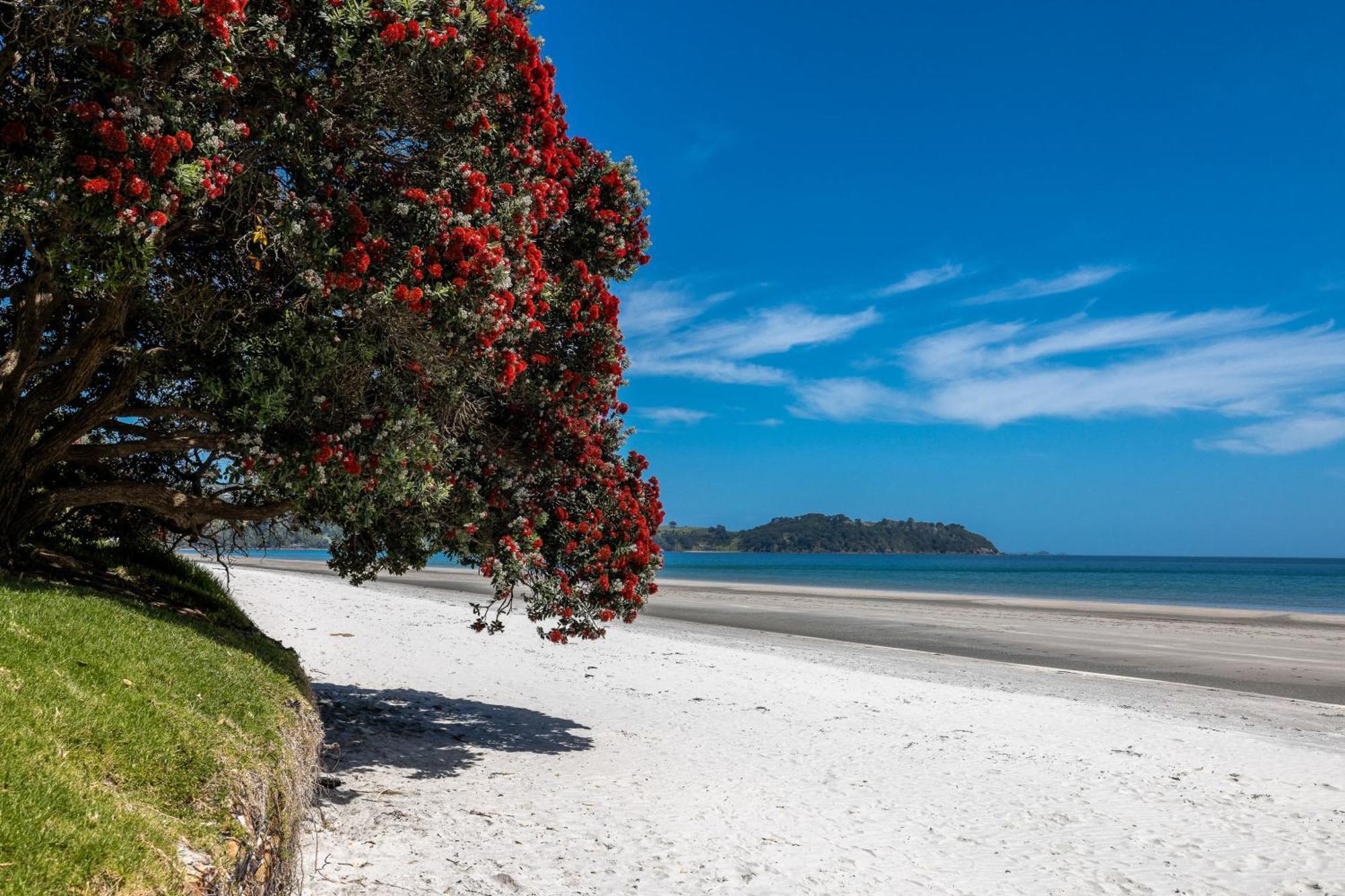 Apartment On The Beach Located At The Sands Onetangi Exteriér fotografie